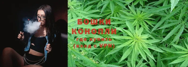 Шишки марихуана Ganja  Арамиль 